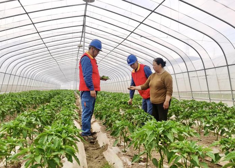建水农业科技：探索绿色种植的未来